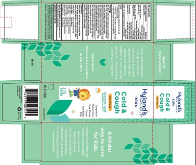 Carton (Cold N Cough Daytime)